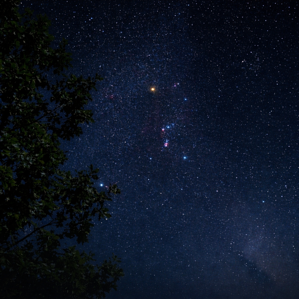 Night network background