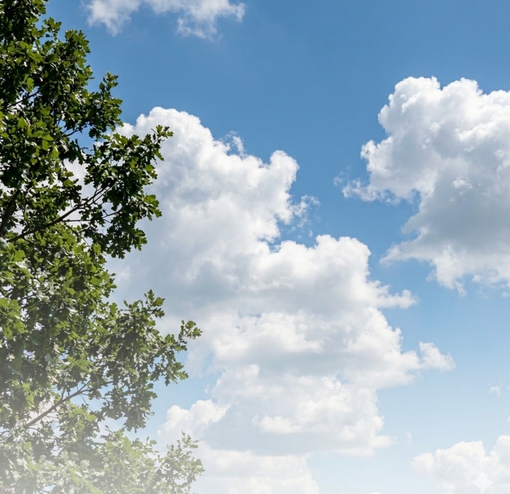 Daytime network background